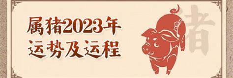 2024年生肖運程猪|属猪2024年运势及运程详解 2024年属猪人的全年每月运势